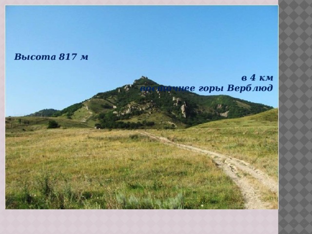 Высота 817 м   в 4 км восточнее горы Верблюд