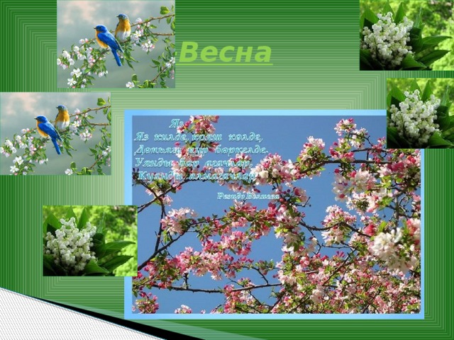 Яз-Весна