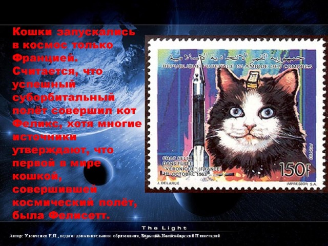 Кошки запускались в космос только Францией. Считается, что успешный суборбитальный полёт совершил кот Феликс, хотя многие источники утверждают, что первой в мире кошкой, совершившей космический полёт, была Фелисетт.