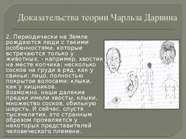 Презентация доказательства эволюции животного мира учение чарльза дарвина 7 класс