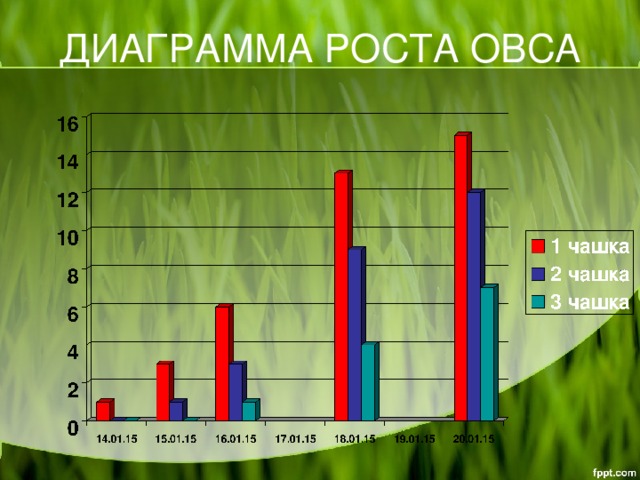 ДИАГРАММА РОСТА ОВСА