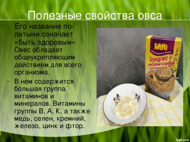 Полезные свойства овса - Его название по-латыни означает «быть здоровым» Овес обладает общеукрепляющим действием для всего организма. В нем содержится большая группа витаминов и минералов. Витамины группы В, А, К, а также медь, селен, кремний, железо, цинк и фтор.