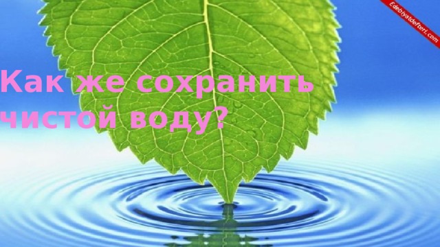 Как же сохранить чистой воду?