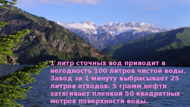 1 литр сточных вод приводит в негодность 100 литров чистой воды. Завод за 1 минуту выбрасывает 25 литров отходов. 5 грамм нефти затягивает пленкой 50 квадратных метров поверхности воды.