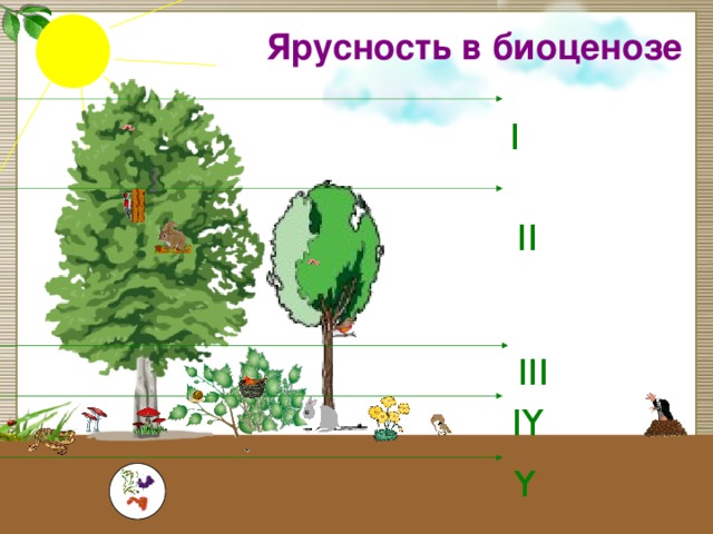 Естественные и искусственные биоценозы презентация