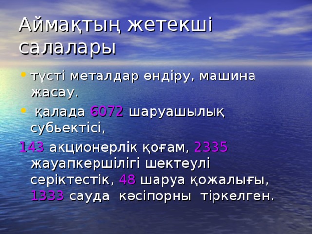 Аймақтың  жетекші  салалары  түсті  металдар  өндіру , машина   жасау .   қалада 6072  шаруашылық  субьектісі , 143 акционерлік  қоғам , 2335 жауапкершілігі  шектеулі  серіктестік , 48  шаруа  қожалығы , 1333  сауда   кәсіпорны   тіркелген .