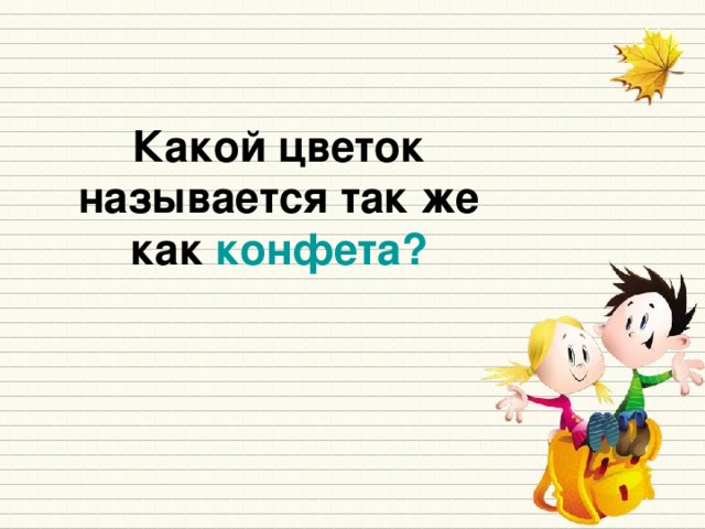 Какой цветок называется так же как конфета?