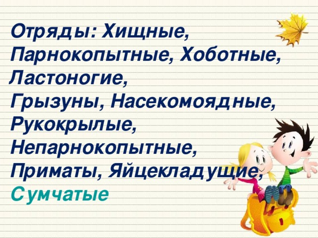 Отряды: Хищные, Парнокопытные, Хоботные, Ластоногие, Грызуны, Насекомоядные, Рукокрылые, Непарнокопытные, Приматы, Яйцекладущие, Сумчатые