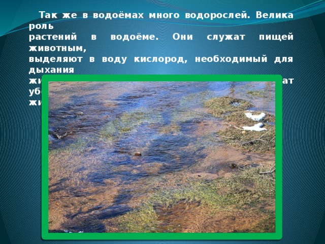 Водоемы хакасии презентация