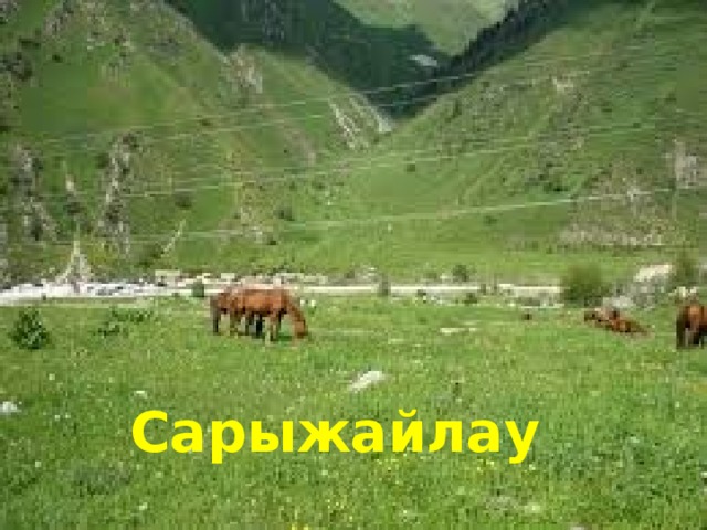 Сарыжайлау