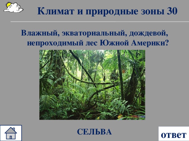 Климат и природные зоны 30 Влажный, экваториальный, дождевой, непроходимый лес Южной Америки? СЕЛЬВА ответ