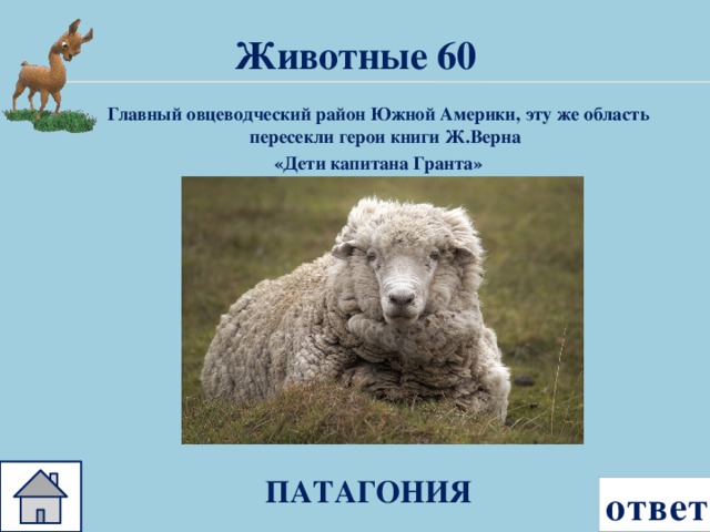 Животные 60 Главный овцеводческий район Южной Америки, эту же область пересекли герои книги Ж.Верна «Дети капитана Гранта» ПАТАГОНИЯ ответ