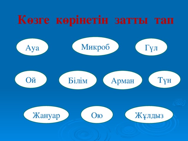 Көзге көрінетін затты тап Микроб Ауа Гүл Ой Білім Арман Түн Ою Жануар Жұлдыз