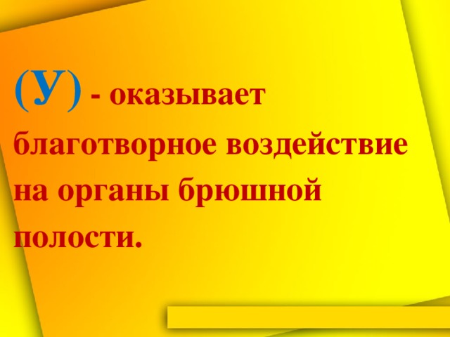 (У)  - оказывает благотворное воздействие на органы брюшной полости.