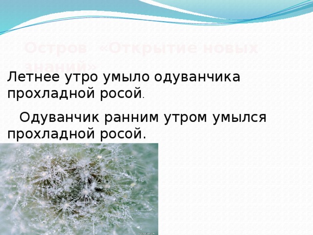 Остров «Открытие новых знаний» Летнее утро умыло одуванчика прохладной росой .  Одуванчик ранним утром умылся прохладной росой.