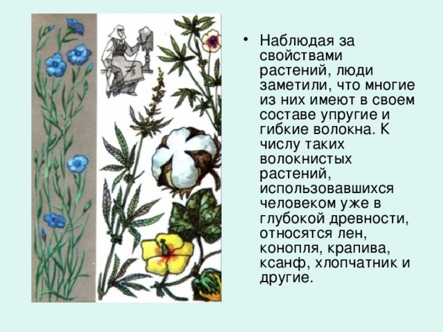 Наблюдая за свойствами растений, люди заметили, что многие из них имеют в своем составе упругие и гибкие волокна. К числу таких волокнистых растений, использовавшихся человеком уже в глубокой древности, относятся лен, конопля, крапива, ксанф, хлопчатник и другие.