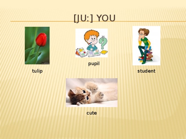 [juː] you pupil student tulip cute