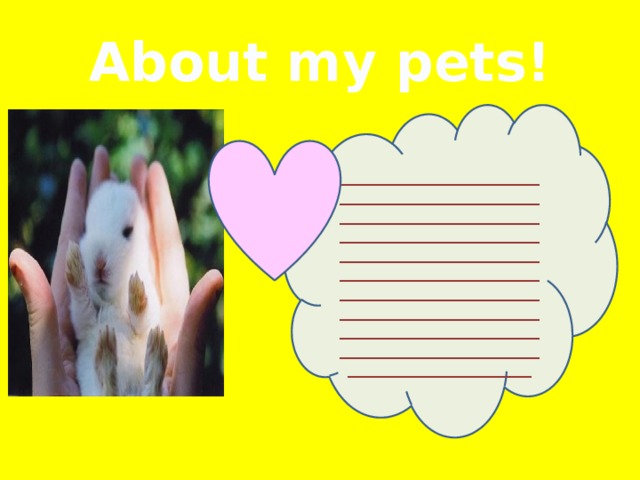 About my pets! _________________________________________________________________________________________________________________________________________________________________________________________________________________________________________________________________________________