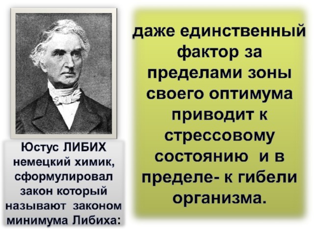 Либих ( Liebig ), Юстус , знаменитый немецкий химик, 1803—73, профессор химии с 1824 в Гиссене, с 1852 в Мюнхене