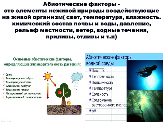 Абиотические факторы биология 9. Абиотические экологические факторы среды. Абиотические факторы среды обитания примеры. Абиотические экологические факторы. Факторы среды воздействующие на организм.