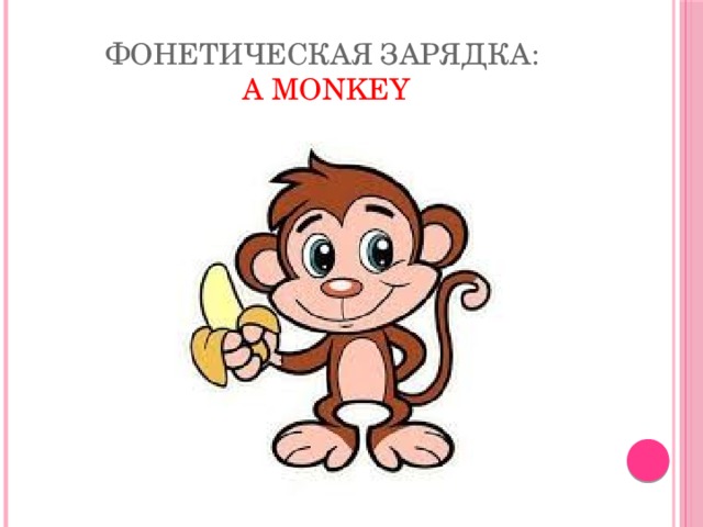 Фонетическая зарядка:   A monkey