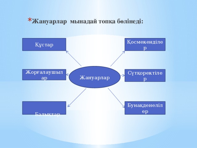 Жануарлар мынадай топқа бөлінеді: