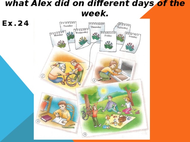 Listen and match the correct day. Say what Alex did on different days of the week. Ex.24