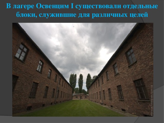 В лагере Освенцим I существовали отдельные блоки, служившие для различных целей