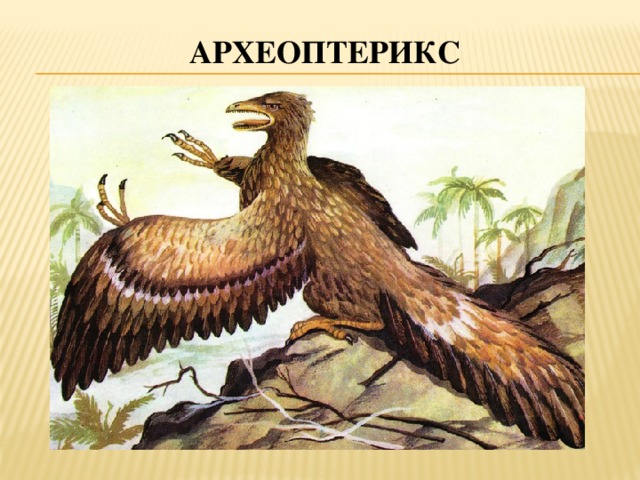 археоптерикс