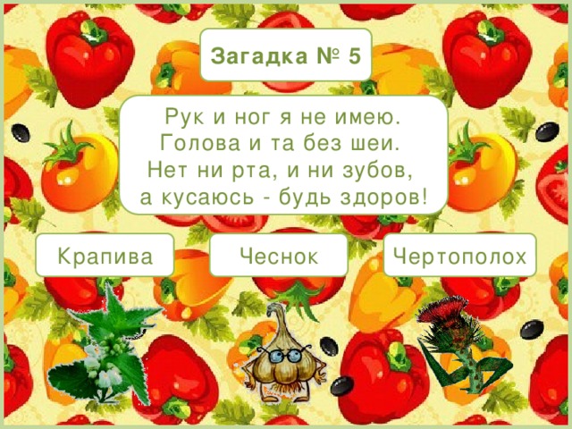 Загадка № 5 Рук и ног я не имею. Голова и та без шеи. Нет ни рта, и ни зубов, а кусаюсь - будь здоров! Крапива Чеснок Чертополох