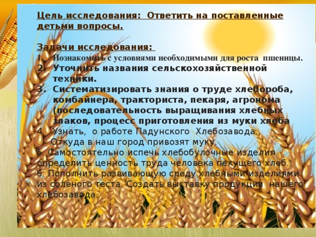 Цель исследования: Ответить на поставленные детьми вопросы.  Задачи исследования: Познакомить с условиями необходимыми для роста пшеницы. Уточнить названия сельскохозяйственной техники. Систематизировать знания о труде хлебороба, комбайнера, тракториста, пекаря, агронома (последовательность выращивания хлебных злаков, процесс приготовления из муки хлеба Узнать, о работе Падунского Хлебозавода..  Откуда в наш город привозят муку. 5. Самостоятельно испечь хлебобулочные изделия определить ценность труда человека пекущего хлеб. 6. Пополнить развивающую среду хлебными изделиями из соленого теста. Создать выставку продукции нашего хлебозавода.