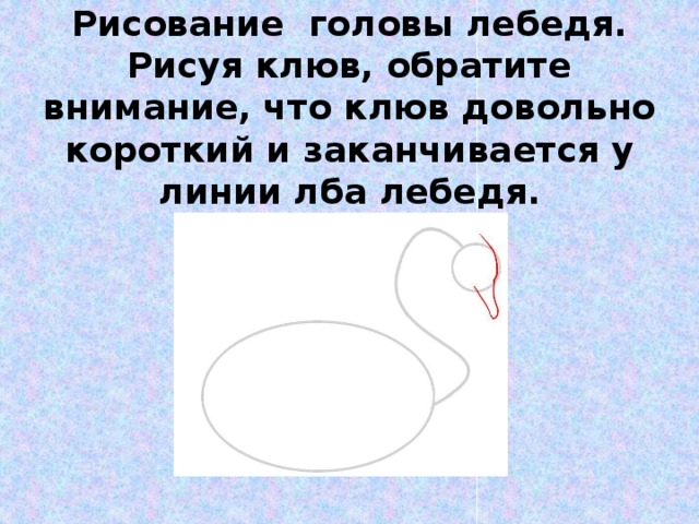 Рисование головы лебедя. Рисуя клюв, обратите внимание, что клюв довольно короткий и заканчивается у линии лба лебедя.