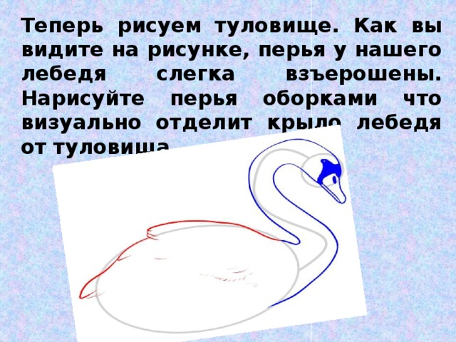 Лебедь какая эпитеты. План лебеди. Произведение Льва Толстого про лебедя. План рассказа л Толстого лебеди. Рассказ лебеди Толстого.