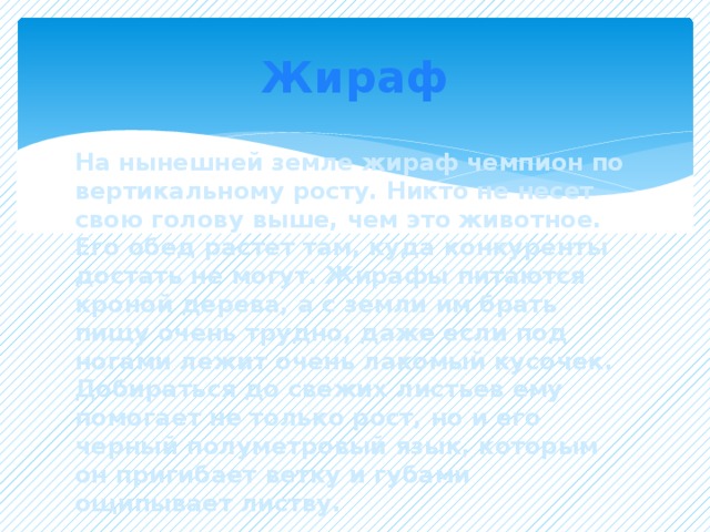 Жираф На нынешней земле жираф чемпион по вертикальному росту. Никто не несет свою голову выше, чем это животное. Его обед растет там, куда конкуренты достать не могут. Жирафы питаются кроной дерева, а с земли им брать пищу очень трудно, даже если под ногами лежит очень лакомый кусочек. Добираться до свежих листьев ему помогает не только рост, но и его черный полуметровый язык, которым он пригибает ветку и губами ощипывает листву.