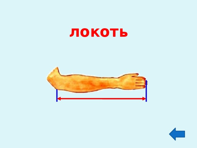 локоть