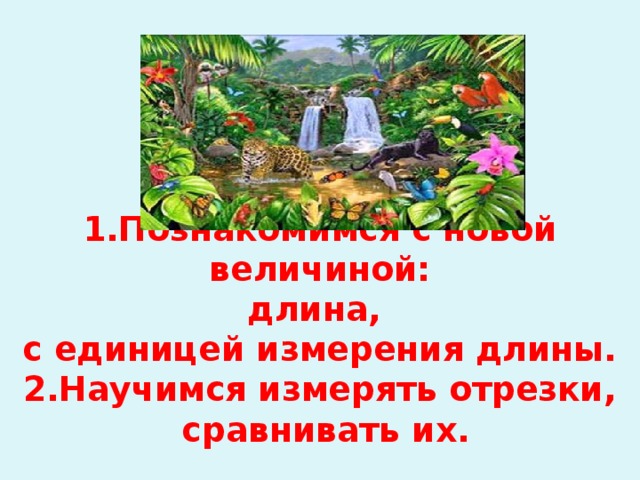 1.Познакомимся с новой величиной:  длина,  с единицей измерения длины.  2.Научимся измерять отрезки,  сравнивать их.