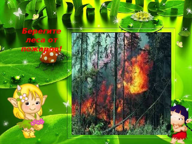 Берегите леса от пожаров!