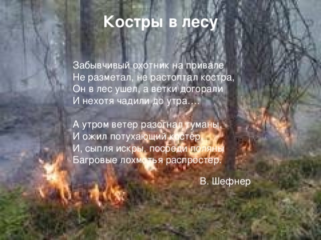 Костры в лесу Забывчивый охотник на привале Не разметал, не растоптал костра, Он в лес ушел, а ветки догорали И нехотя чадили до утра…. А утром ветер разогнал туманы, И ожил потухающий костер, И, сыпля искры, посреди поляны Багровые лохмотья распростер.  В. Шефнер