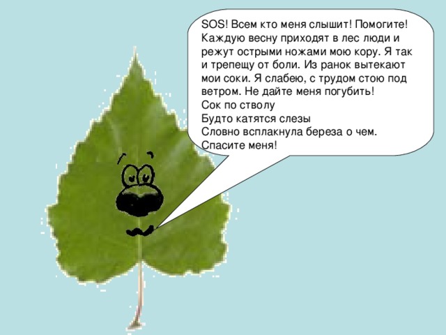 SOS ! Всем кто меня слышит! Помогите! Каждую весну приходят в лес люди и режут острыми ножами мою кору. Я так и трепещу от боли. Из ранок вытекают мои соки. Я слабею, с трудом стою под ветром. Не дайте меня погубить! Сок по стволу Будто катятся слезы Словно всплакнула береза о чем. Спасите меня!