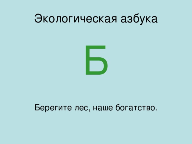 Экологическая азбука Б Берегите лес, наше богатство.