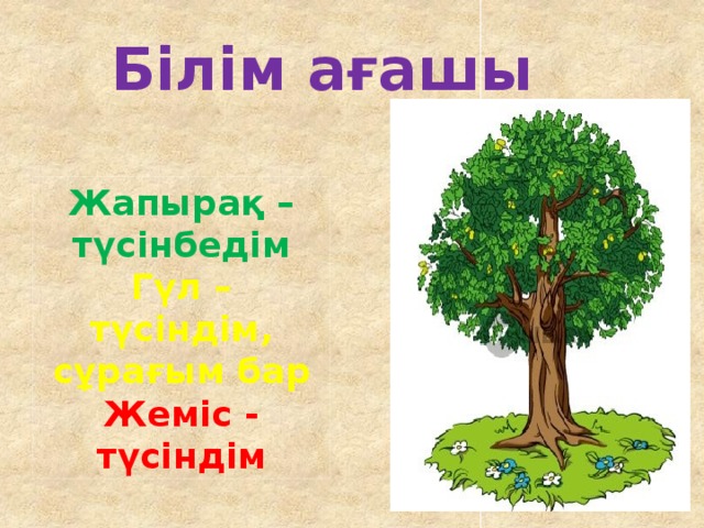 Білім ағашы Жапырақ – түсінбедім Гүл – түсіндім, сұрағым бар Жеміс - түсіндім