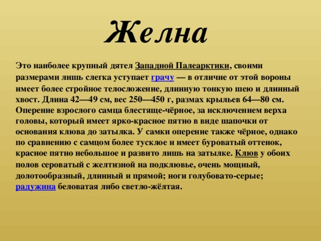 Желна Это наиболее крупный дятел Западной Палеарктики , своими размерами лишь слегка уступает грачу  — в отличие от этой вороны имеет более стройное телосложение, длинную тонкую шею и длинный хвост. Длина 42—49 см, вес 250—450 г, размах крыльев 64—80 см. Оперение взрослого самца блестяще-чёрное, за исключением верха головы, который имеет ярко-красное пятно в виде шапочки от основания клюва до затылка. У самки оперение также чёрное, однако по сравнению с самцом более тусклое и имеет буроватый оттенок, красное пятно небольшое и развито лишь на затылке. Клюв у обоих полов сероватый с желтизной на подклювье, очень мощный, долотообразный, длинный и прямой; ноги голубовато-серые; радужина беловатая либо светло-жёлтая.