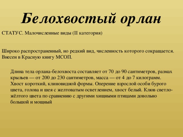 Белохвостый орлан СТАТУС. Малочисленные виды (II категория)  Широко распространенный, но редкий вид, численность которого сокращается. Внесен в Красную книгу МСОП. Длина тела орлана-белохвоста составляет от 70 до 90 сантиметров, размах крыльев — от 200 до 230 сантиметров, масса — от 4 до 7 килограмм. Хвост короткий, клиновидной формы. Оперение взрослой особи бурого цвета, голова и шея с желтоватым осветлением, хвост белый. Клюв светло-жёлтого цвета по сравнению с другими хищными птицами довольно большой и мощный