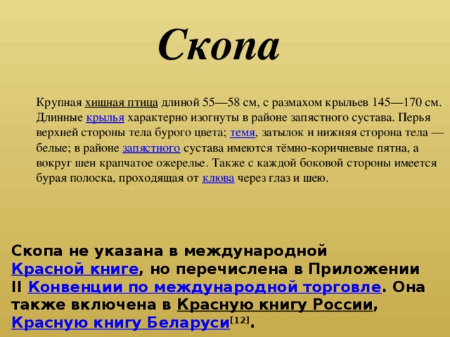 Скопа Крупная хищная птица длиной 55—58 см, с размахом крыльев 145—170 см. Длинные крылья характерно изогнуты в районе запястного сустава. Перья верхней стороны тела бурого цвета; темя , затылок и нижняя сторона тела — белые; в районе запястного сустава имеются тёмно-коричневые пятна, а вокруг шеи крапчатое ожерелье. Также с каждой боковой стороны имеется бурая полоска, проходящая от клюва через глаз и шею. Скопа не указана в международной Красной книге , но перечислена в Приложении II Конвенции по международной торговле . Она также включена в Красную книгу России , Красную книгу Беларуси [12] .