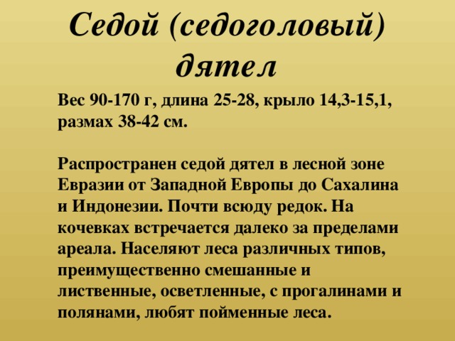 Седой (седоголовый) дятел Вес 90-170 г, длина 25-28, крыло 14,3-15,1, размах 38-42 см.   Распространен седой дятел в лесной зоне Евразии от Западной Европы до Сахалина и Индонезии. Почти всюду редок. На кочевках встречается далеко за пределами ареала. Населяют леса различных типов, преимущественно смешанные и лиственные, осветленные, с прогалинами и полянами, любят пойменные леса.