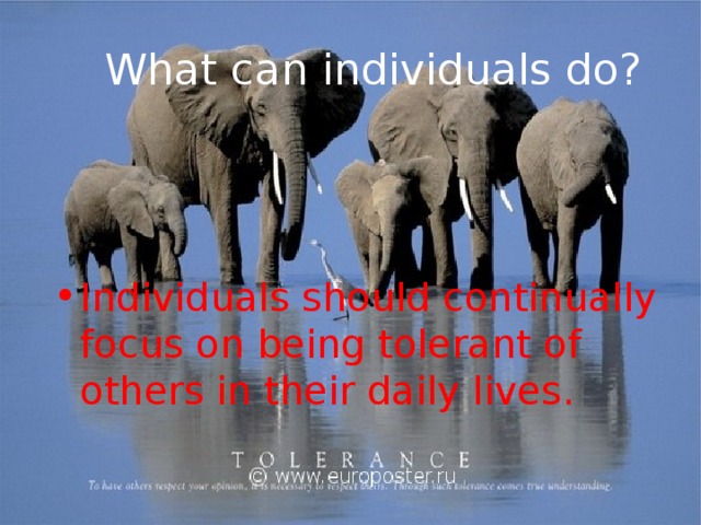 What can individuals do?