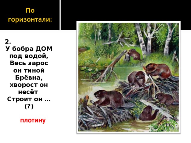 2. У бобра ДОМ под водой, Весь зарос он тиной Брёвна, хворост он несёт Строит он … (?) плотину