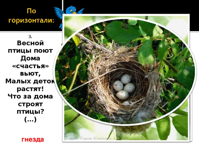 3. Весной птицы поют Дома «счастья» вьют, Малых деток растят! Что за дома строят птицы? (…) гнезда