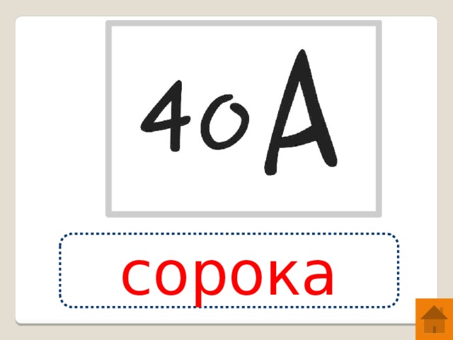 сорока