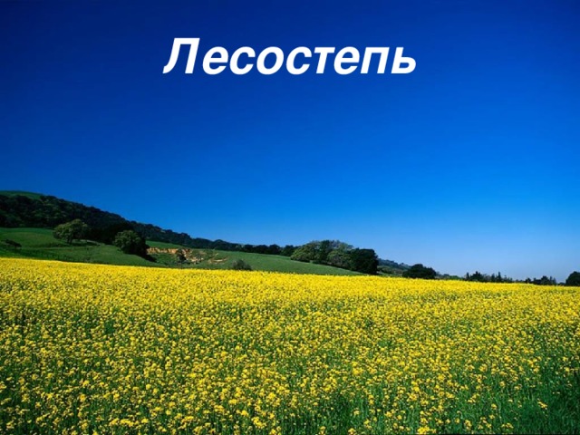 Лесостепь